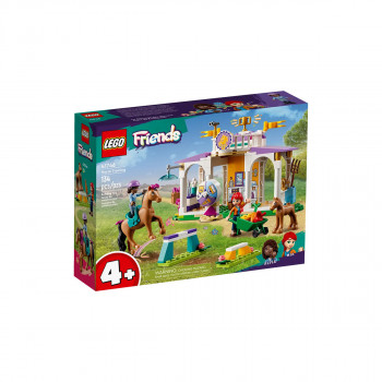 LEGO коцки, Friends, Horse Training 