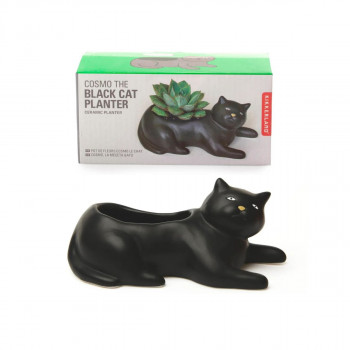Саксија за цвеќе - Cosmo The Black Cat 