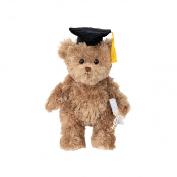 Плишана играчка, Teddy Graduate, 25 cm 