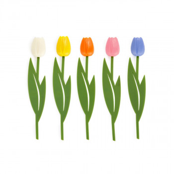 Разделник, Tulip, 5 бои 