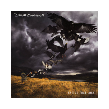 Винил, David Gilmour – Rattle That Lock 