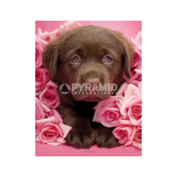 Rachael Hale (Georgie) 