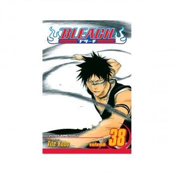 Bleach, Vol. 38 