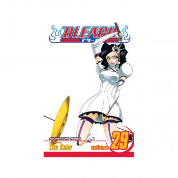 Bleach, Vol. 29 