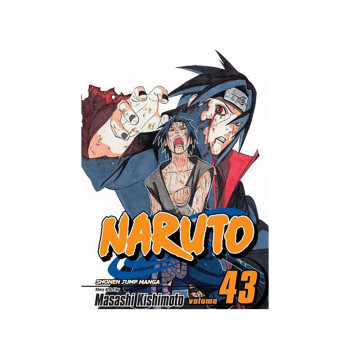 Naruto, Vol. 43 