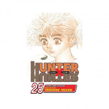 Hunter x Hunter, Vol. 25 