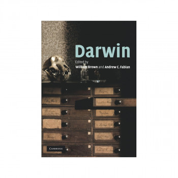 Noise-Induced Phenomena in the Environmental Sciences 