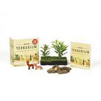 Desktop Terrarium : No Green Thumb Required! 
