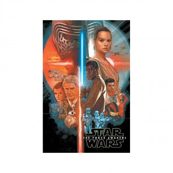 Star Wars: The Force Awakens Adaptation 