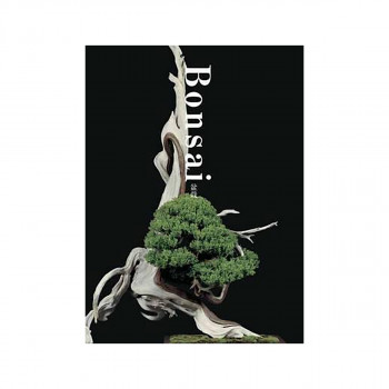 Bonsai 