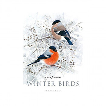 Winter Birds 