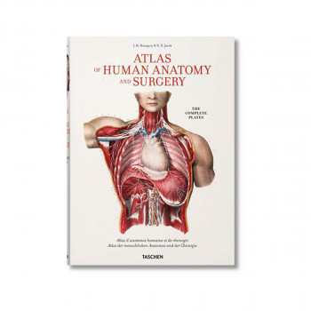 Bourgery. Atlas of Human Anatomy and Surgery 
