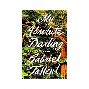 My Absolute Darling : A Novel 
