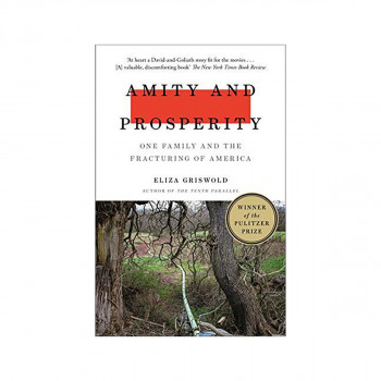 Amity and Prosperity : One Family and the Fracturing of America - Winner of the 