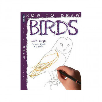How To Draw Birds 