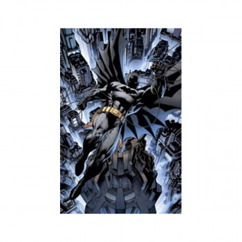 Absolute All-Star Batman And Robin, The Boy Wonder 