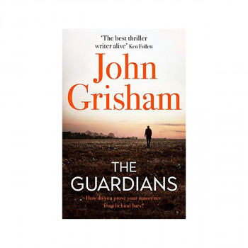 The Guardians : The Sunday Times Bestseller 