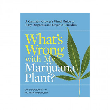 What's Wrong With My Marijuana Plant? 