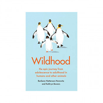 Wildhood : the epic journey from adolescence to adulthood in humans and other an 
