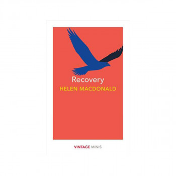 Recovery : Vintage Minis 