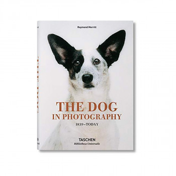The Dog in Photography 1839-Today 
