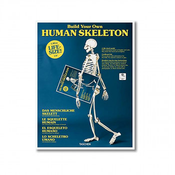 Build Your Own Human Skeleton ? Life Size! 
