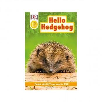 Hello Hedgehog 