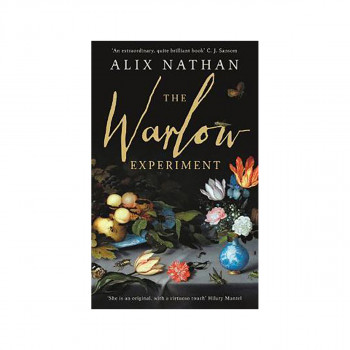 The Warlow Experiment 