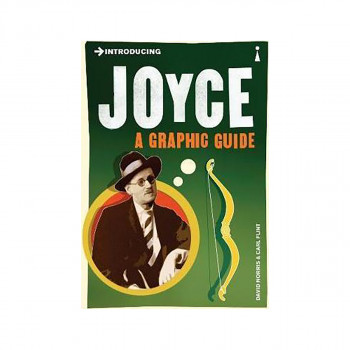 Introducing Joyce : A Graphic Guide 