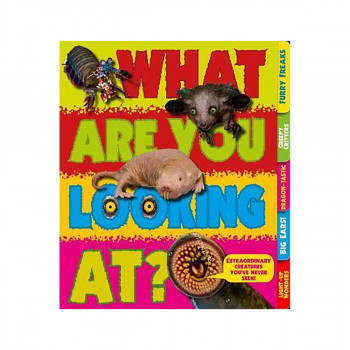 What Are You Looking At? : Extraordinary creatures you've never seen! 