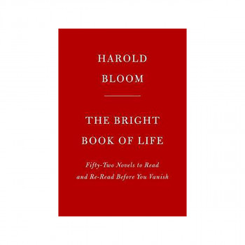 The Bright Book of Life : Novels to Read and Reread 