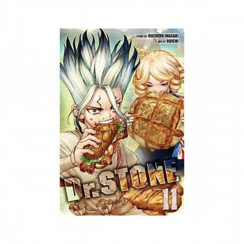 Dr. STONE, Vol. 11 