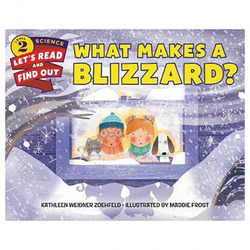 What Makes a Blizzard? 