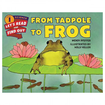 From Tadpole to Frog 