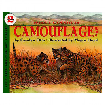What Colour is Camouflage? 