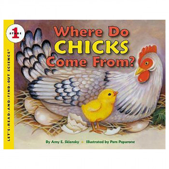 Where Do Chick's Come From? 