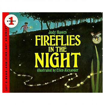 Fireflies in the Night 