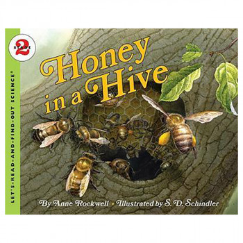 Honey In A Hive 