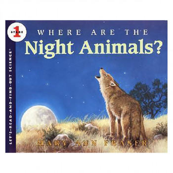 Where are the Night Animals? 