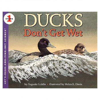 Ducks don't get Wet 