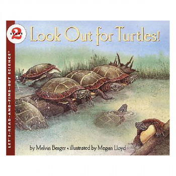 Look Out for Turtles 