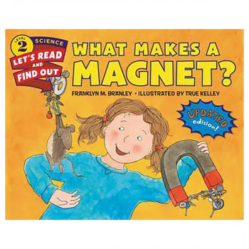 What Makes a Magnet? 