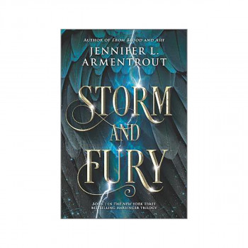 Storm and Fury 