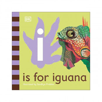 I is for Iguana 