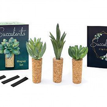 Succulents Magnet Set 
