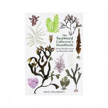 The Seaweed Collector's Handbook : From Purple Laver to Peacock's Tail 