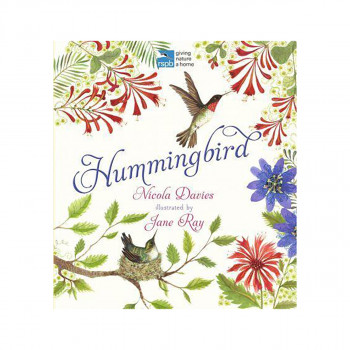 Hummingbird 