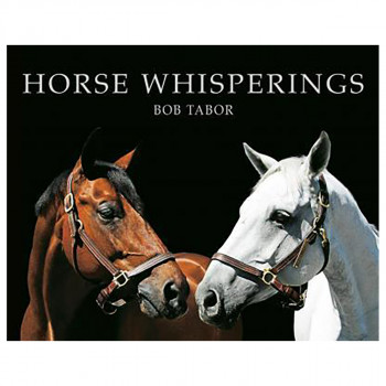 Horse Whisperings : Portraits by Bob Tabor 