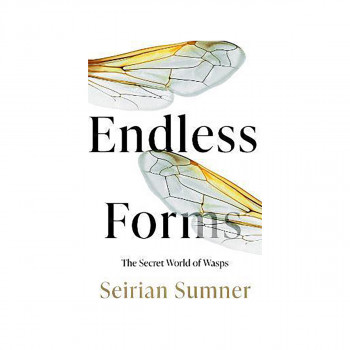 Endless Forms : The Secret World of Wasps 