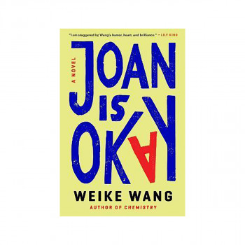 Joan Is Okay : A Novel 
